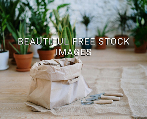 Beautiful Free Stock Images