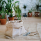 Beautiful Free Stock Images