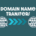 Domain Name Transfers