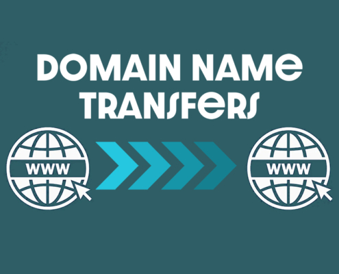 Domain Name Transfers