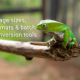 Image Sizes, Formats and Batch Conversion tools
